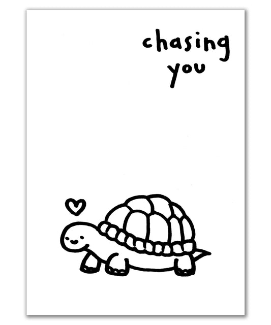 chasing you turtle